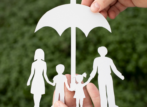 Variable Life Insurance